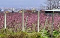 25 aprile 2013: la Liberazione si festeggia al Fondo Confiscato di Chiaiano