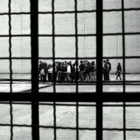 Imprenditore vende beni pignorati della società? Rischia fino a tre anni di carcere