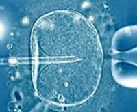 Procreazione: Corte di Strasburgo, legittimo vietare fecondazione eterologa