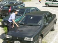 Il vigile ha sempre ragione. Anche se sbaglia a indicare il colore dell'auto
