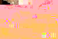 False fatturazioni: condanna con pene accessorie obbligatorie