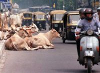 Avellino, operaia riassunta dopo causa ma l'azienda la trasferisce in India