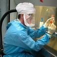 Influenza suina, in Italia arriverà entro un mese! Entro fine anno vaccini solo per il 14% della popolazione!