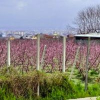 Pasquetta della legalità a Chiaiano: musica, pic-nic e stand al Fondo confiscato