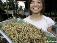 Fao, studio: Mangiando insetti si può sconfiggere la fame nel mondo