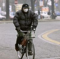 Allarme Ue: dannosa l'aria che respiriamo