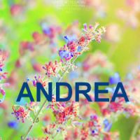 Andrea, in Italia è vietato utilizzarlo come nome per una bambina 