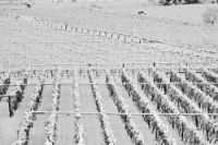 Torna la neve al centro-sud, in Liguria -21°. Altre tre vittime in Brianza, Ferrara e Irpinia