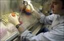 Cancro prostata: attesa nuova pillola