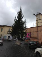Luci e speranze a Scampia, Presidente Pisani: "Grande festa di Natale, albero a Marianella per le vittime innocenti e foglio di via per i criminali"