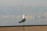 Napoli, continua l'emergenza smog Il Comune corre ai ripari: nuovi stop