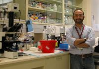 Nuova speranza contro il cancro al pancreas: la scoperta è di un ricercatore napoletano