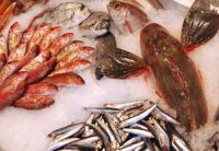 Allarme di Slow Fish: attenti al pesce dopato