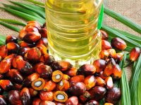 Attenti all'olio di palma!