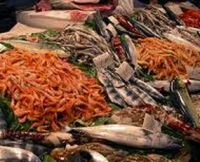 Crisi: Coldiretti, addio pesce in tavola, da -14% alici a -15% calamari